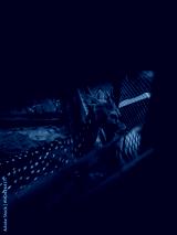 preview cold