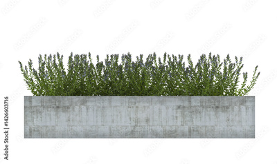 image to crop