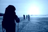 preview cold