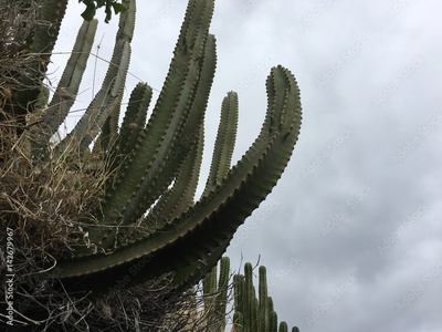 image to crop