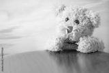 preview bw