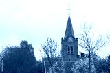 preview cold