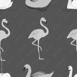 preview bw