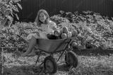 preview bw