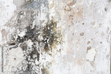 preview original