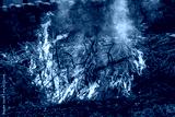 preview cold