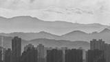 preview bw