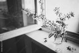 preview bw