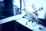 preview cold