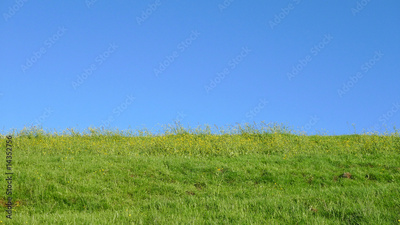 image to crop