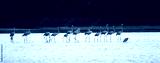 preview cold