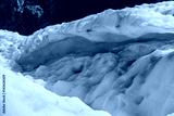preview cold