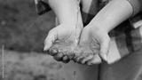 preview bw