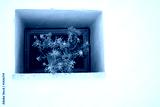 preview cold