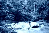 preview cold