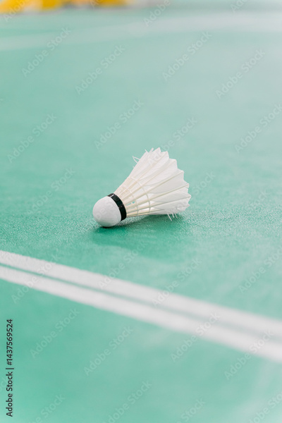 image to crop