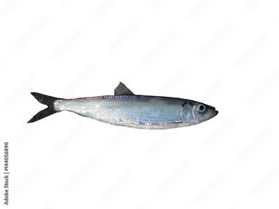 image to crop