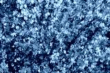 preview cold