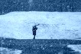 preview cold