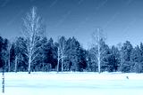 preview cold