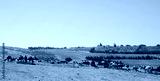 preview cold