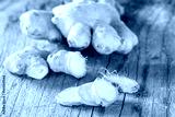 preview cold