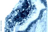 preview cold