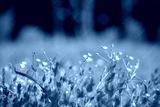 preview cold
