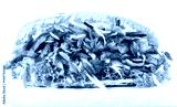 preview cold