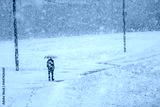 preview cold