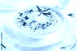 preview cold