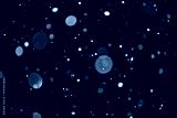 preview cold