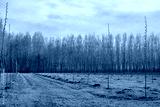 preview cold