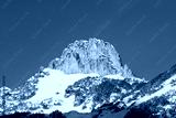 preview cold