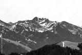 preview bw