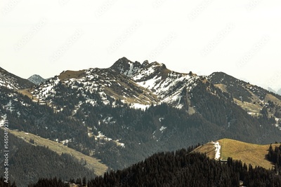 image to crop
