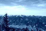 preview cold
