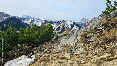image to crop
