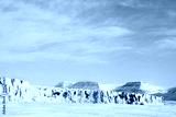 preview cold