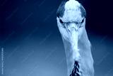 preview cold