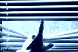 preview cold
