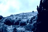 preview cold