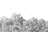 preview bw