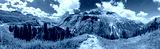 preview cold