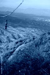 preview cold
