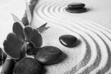 preview bw