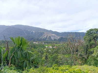 image to crop