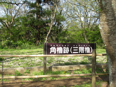 image to crop