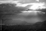 preview bw