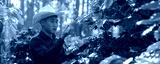preview cold